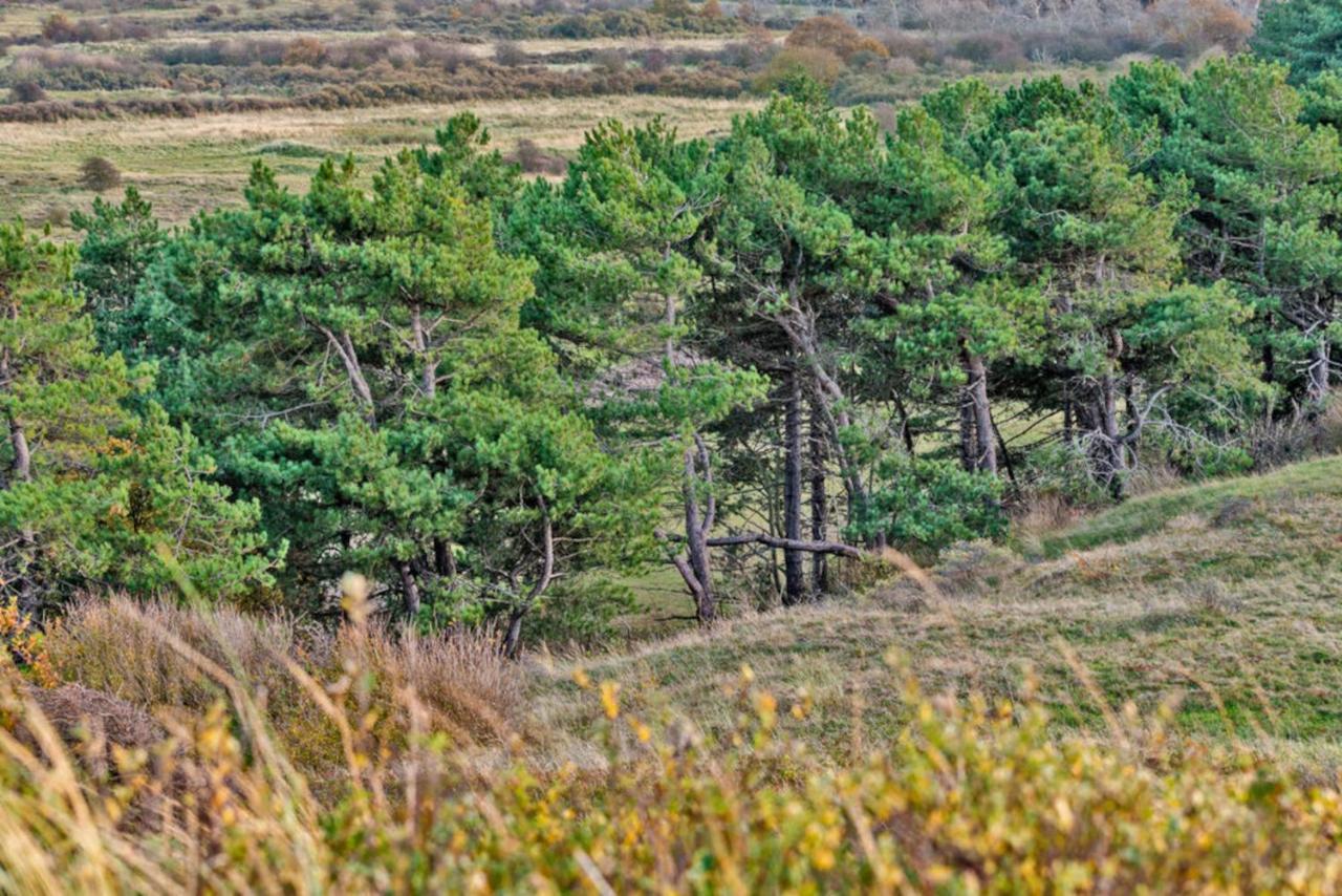 Prinsenhof # Eén *